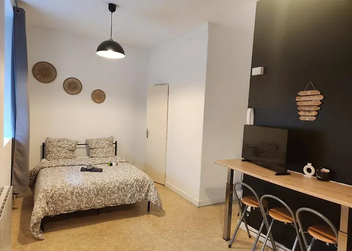 Proche De La Place Wilson 公寓 *